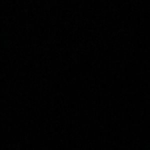 Meet your Posher, Abigail